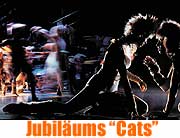 Das Original aus Hamburg feiert 20. Geburtstag in München: Andrew Lloyd Webber's "Cats" bis 28.05.2005 im Deutschen Theater  (Foto: DT)